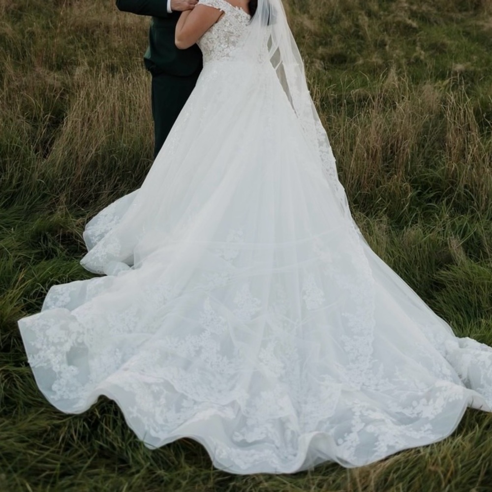 Stunning Ivory Sequin Wedding Dress - Picture 8 of 16